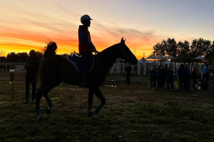 Endurance: Gian Michele Nonne vince la Cei1* dell'International Event di Tanca Regia Endurance: Gian Michele Nonne vince la Cei1* dell'International Event di Tanca Regia