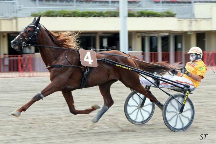 Trotto fiorentino d'autunno, martedì l'opening day