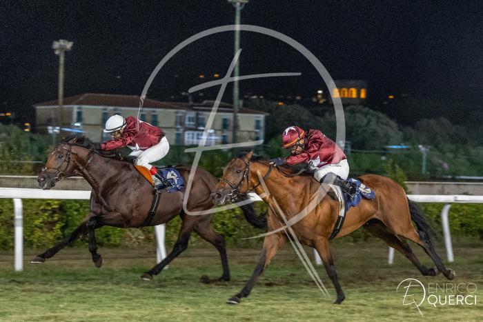La passione  per l'ippica di Max Allegri, l'amaranto di Livorno La passione  per l'ippica di Max Allegri, l'amaranto di Livorno