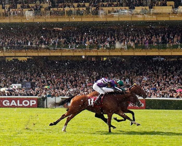 Parigi, Daryz  ha corso e vinto  per il Turf e per quanti lo amano