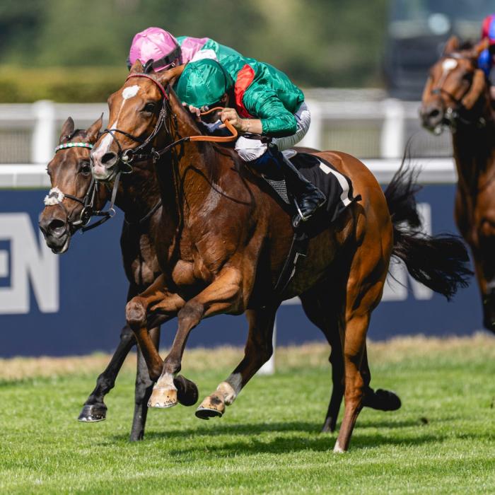 Viva Presage , viva Ascot e le sue champion , corsa dell'anno