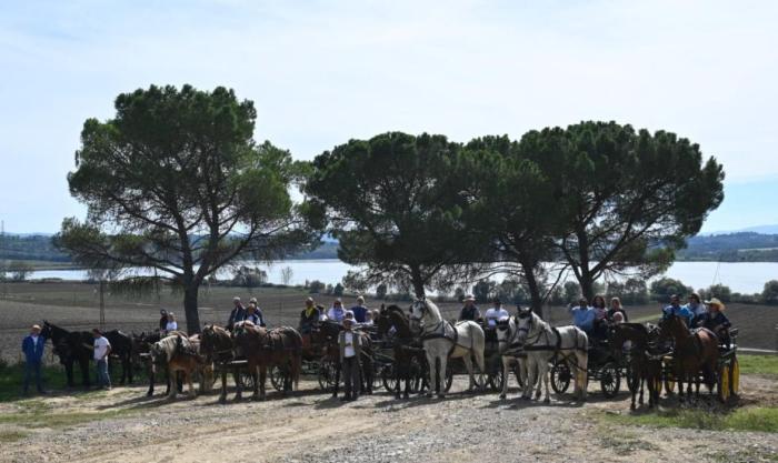 Tour dei tre laghi Trasimeno, Chiusi, oasi di Montepulciano In carrozza si parte. Tour dei tre laghi Trasimeno, Chiusi, oasi di Montepulciano In carrozza si parte.