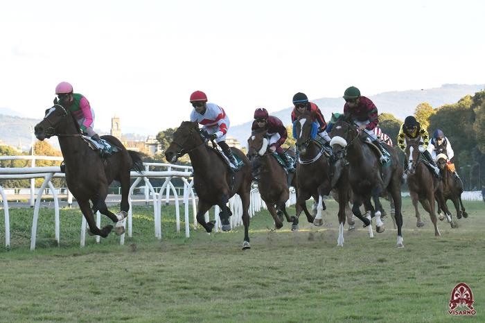 Galoppo al Visarno, un bel gioved&igrave; con Corsa del Chianti e la TQQ