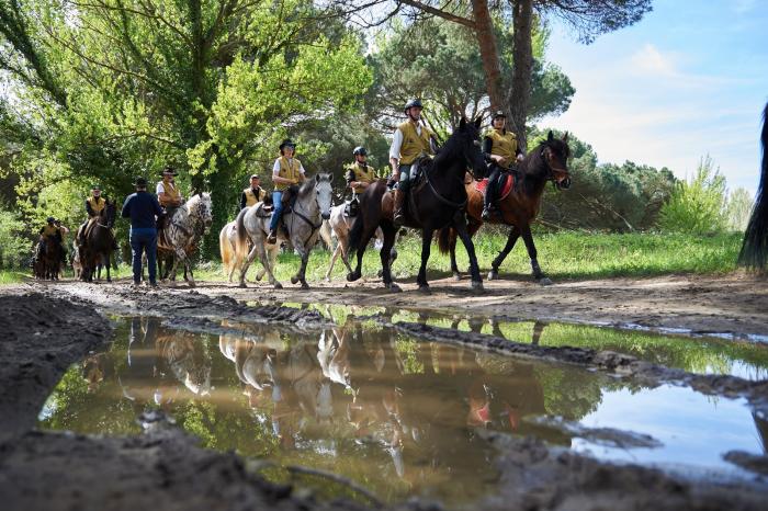 Equiraduno Anno Santo si conclude con incontro dei cavalieri col Papa a San Pietro Equiraduno Anno Santo si conclude con incontro dei cavalieri col Papa a San Pietro