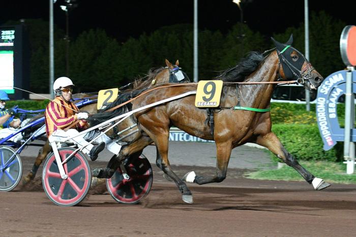 Venerdì  notturna fuori stagione al Sesana:  Bellei ritorna a Montecatini Venerdì  notturna fuori stagione al Sesana:  Bellei ritorna a Montecatini