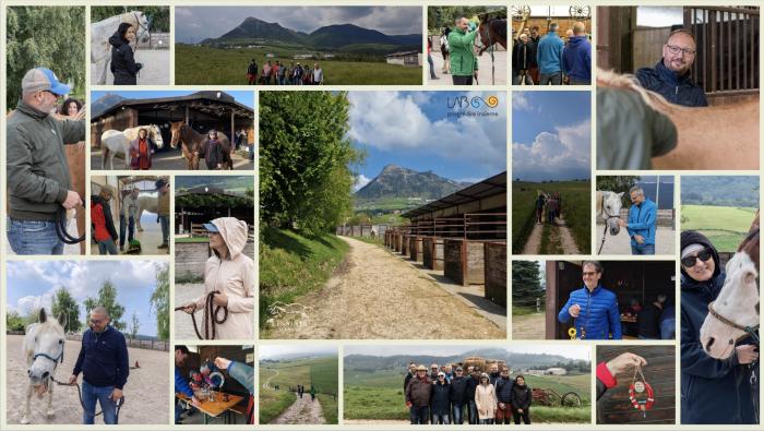 RelazionExpo, quando la leadership si impara dal cavallo RelazionExpo, quando la leadership si impara dal cavallo