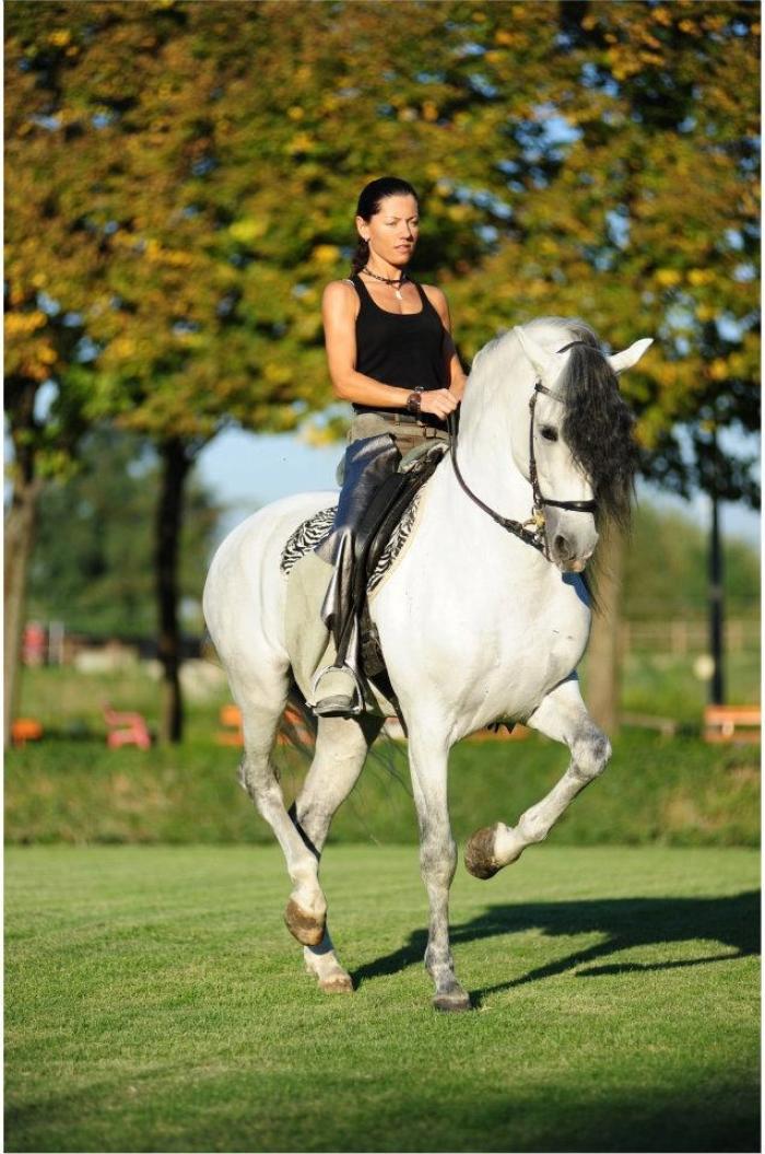 L'Accademia Teatro Equestre Zebre alla Fiera del Cavallo di Forlì