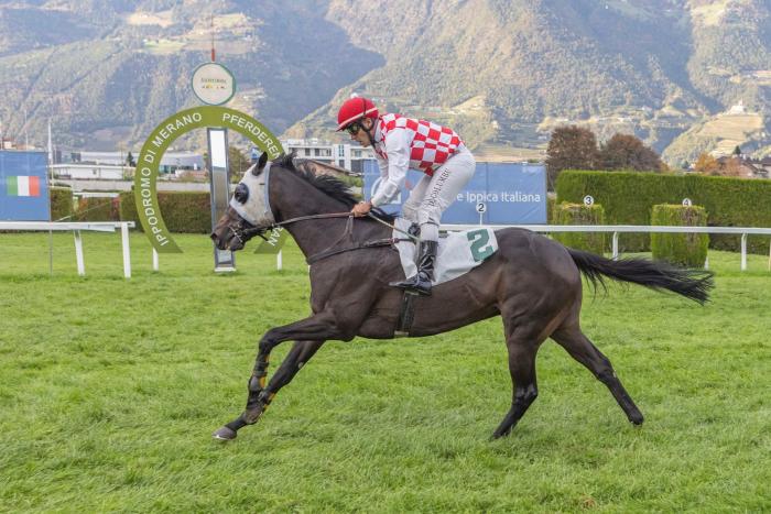 Bel successo di Bu Hail, griffato Favero, nel venerd&igrave; di Maia