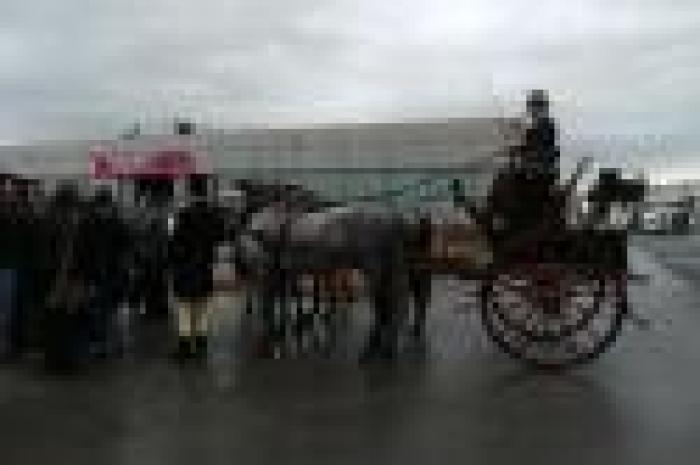 Fieracavalli, edizione-record per i suoi 110 anni