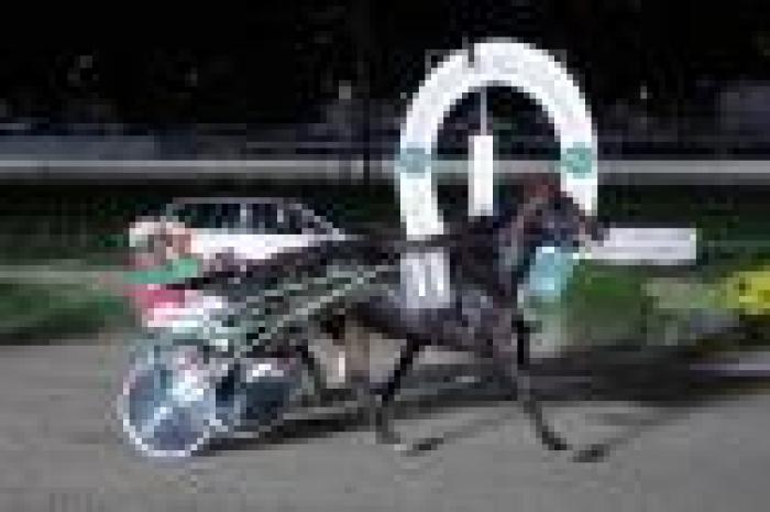 Trotto, alla Puglia il Palio dei Proprietari Trotto, alla Puglia il Palio dei Proprietari