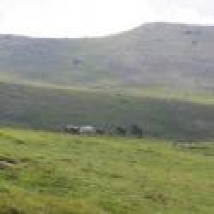 Fitetrec-Ante, un Comitato per proteggere i cavalli