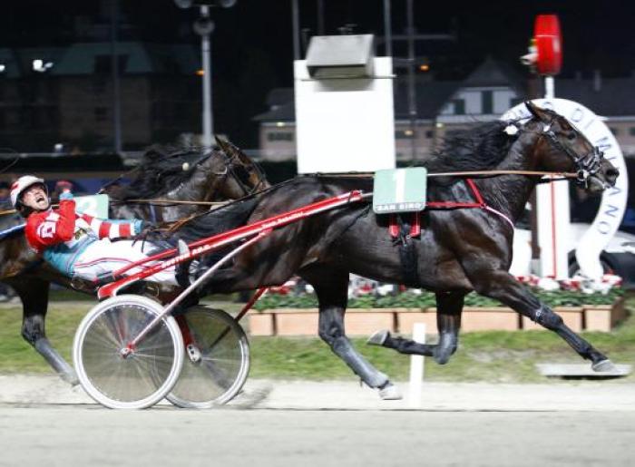 Mago d\'Amore sull\'arrivo.foto Stefano Grasso per cavallo2000
