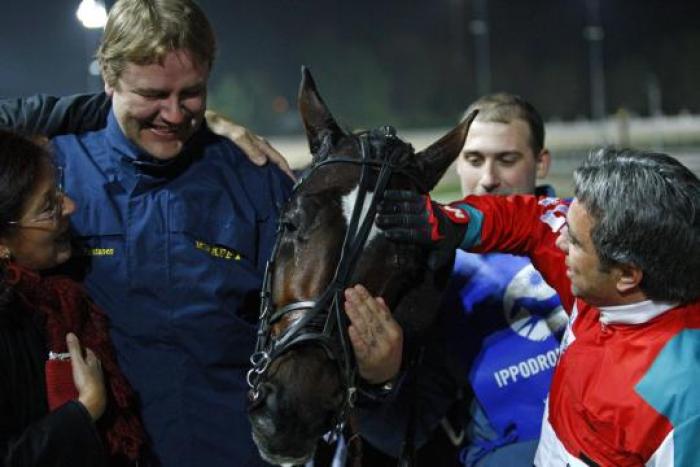 Mago d\'Amore seteggiato dal suo team. foto Stefano Grasso per cavallo2000 Mago d\'Amore seteggiato dal suo team. foto Stefano Grasso per cavallo2000