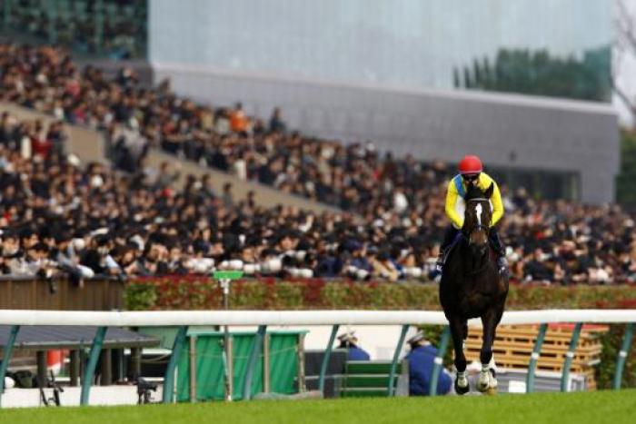 VODKA e Lemaire foto Stefano Grasso per cavallo2000 VODKA e Lemaire foto Stefano Grasso per cavallo2000