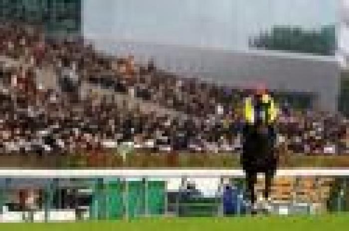 Tokyo, l'albo d'oro della Japan Cup Tokyo, l'albo d'oro della Japan Cup