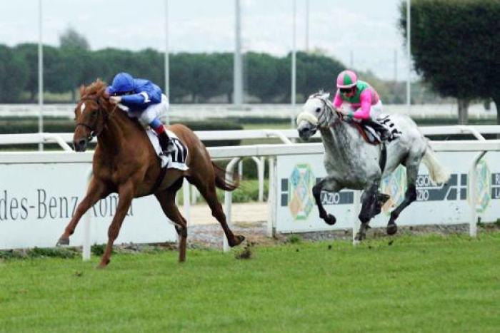 L'arrivo di Dettori con Rio de la Plata nel G.P. Roma
