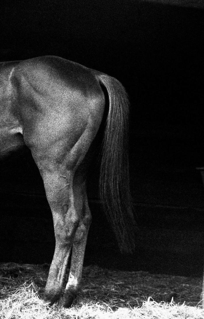 Uno scatto di Beatrice Scudo Uno scatto di Beatrice Scudo