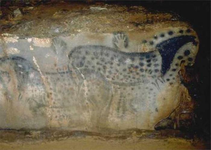 I cavalli preistorici di  Pech Merle