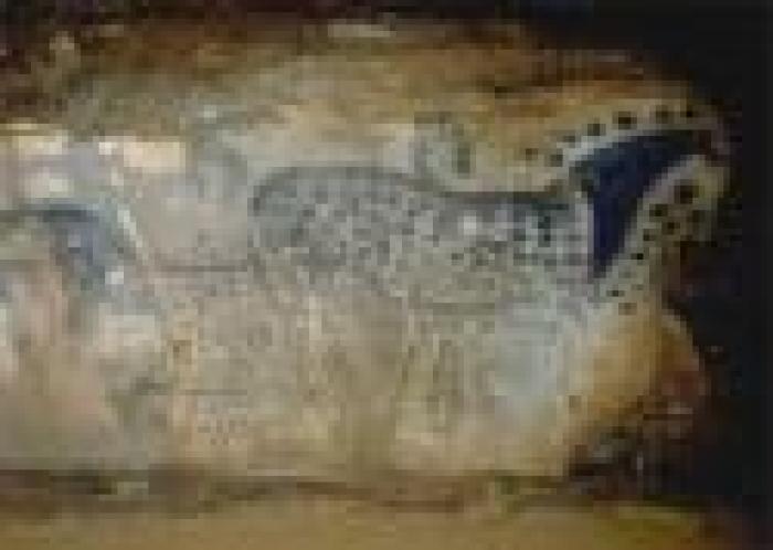 La scienza dimostra che i cavalli<br> pomellati esistevano 35.000 anni fa