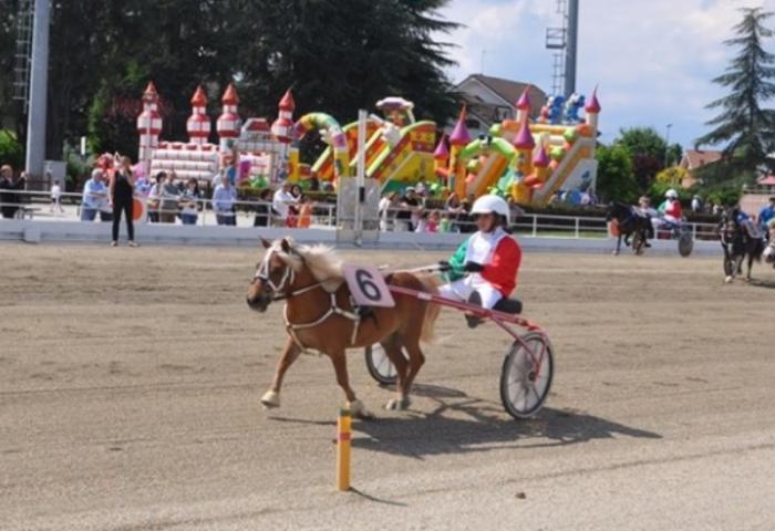 Rapiti quattro pony da un centro ippico a Succivo