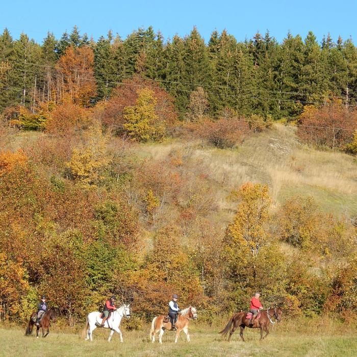 Viaggiare a cavallo, un turismo che fa bene al territorio Viaggiare a cavallo, un turismo che fa bene al territorio