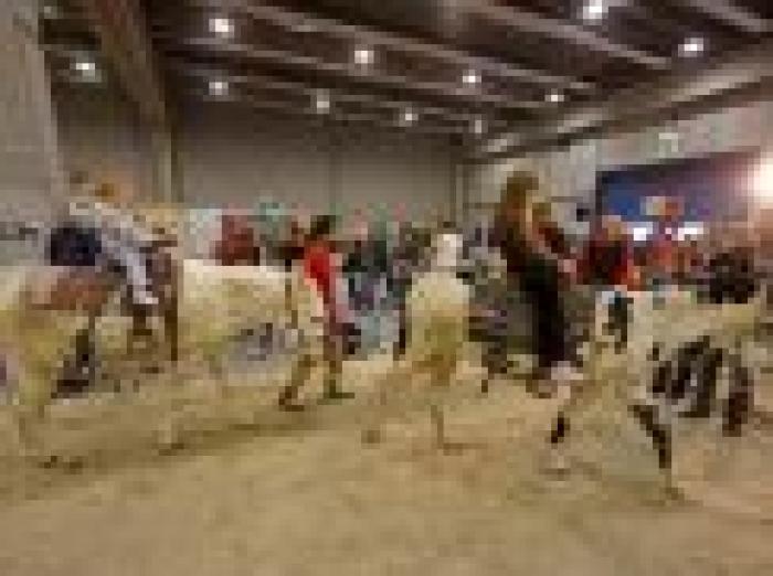 Foto Stefano Grasso. Testo Paola Olivari Foto Stefano Grasso. Testo Paola Olivari