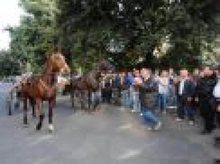 La manifestazione degli ippici sotto la Rai di viale Mazzini- foto CAldani
