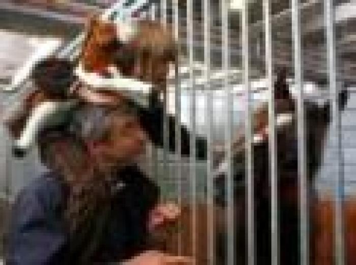 Fieracavalli, flashback di un grande evento