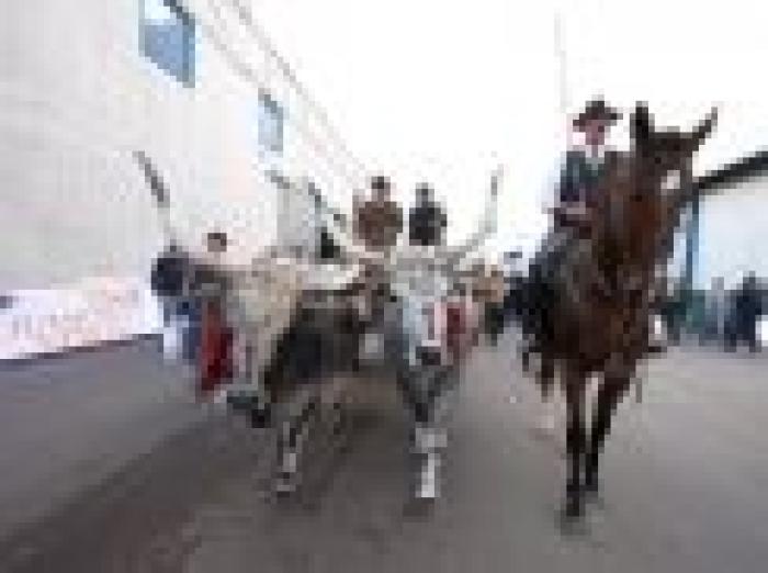 Foto Stefano Grasso. Testo Paola Olivari Foto Stefano Grasso. Testo Paola Olivari