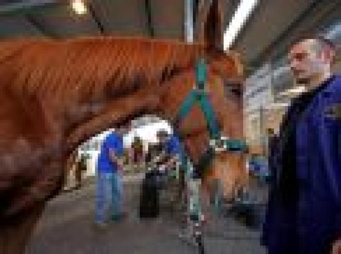 Foto Stefano Grasso. Testo Paola Olivari