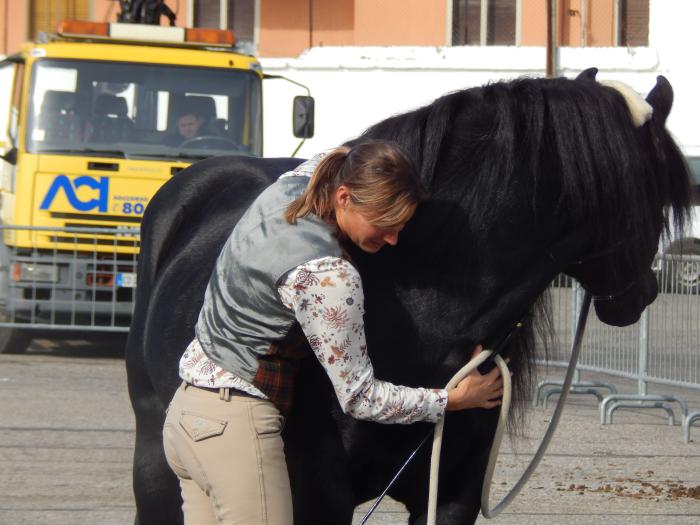 Orfeo a Fieracavalli: una manifestazione  vissuta dall'interno