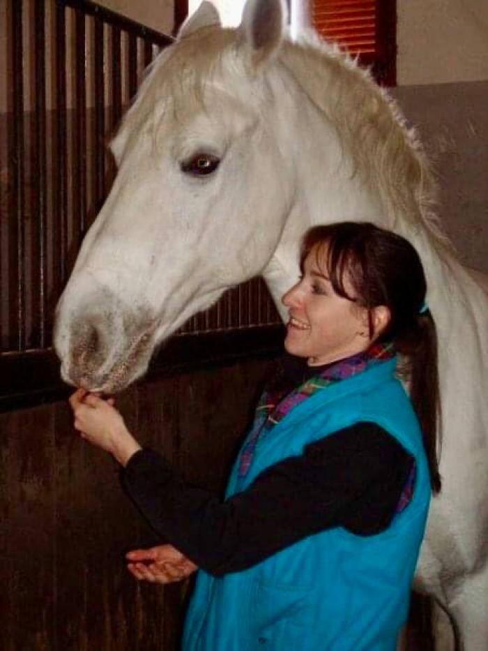 La magia del cavallo Lipizzano La magia del cavallo Lipizzano