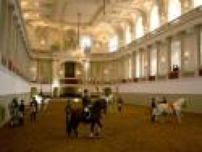 La Scuola Spagnola di Vienna rischia la chiusura