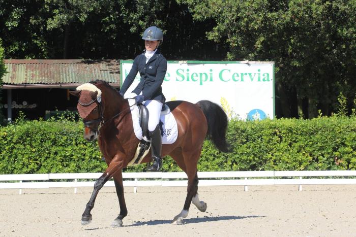 Cervia, al via Coppa delle Regioni  di Dressage e Paradressage
