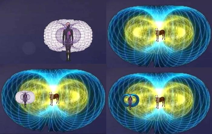 I cavalli, le emozioni e l'intelligenza del cuore