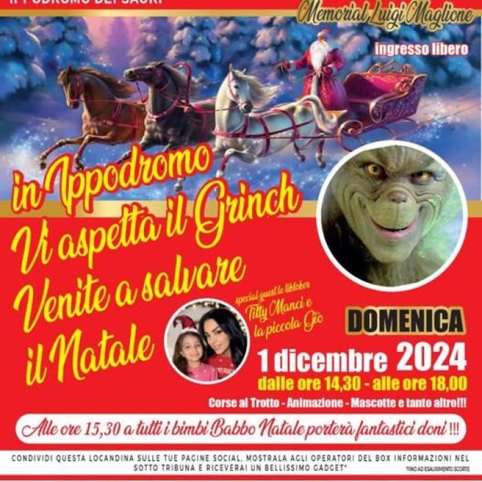 I cavalli, i bambini ed i sorrisi di Castelluccio