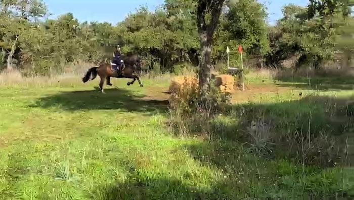 Completo: Marco Pau su Zabdal  &egrave; il campione regionale della Sardegna