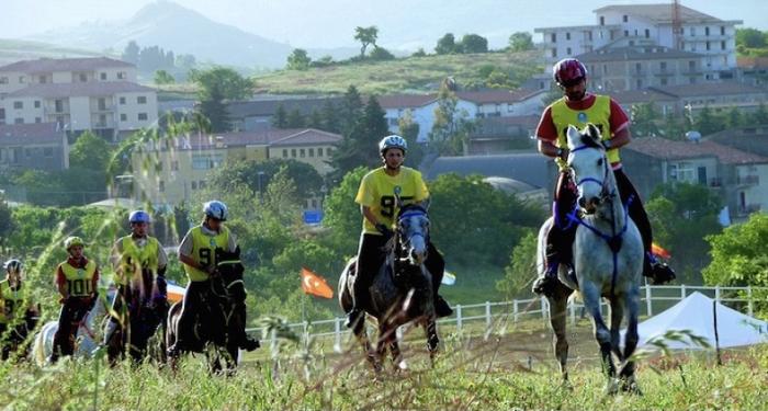 Sport equestri in Sicilia :protagonisti endurance, salto ostacoli e allevamento Sport equestri in Sicilia :protagonisti endurance, salto ostacoli e allevamento