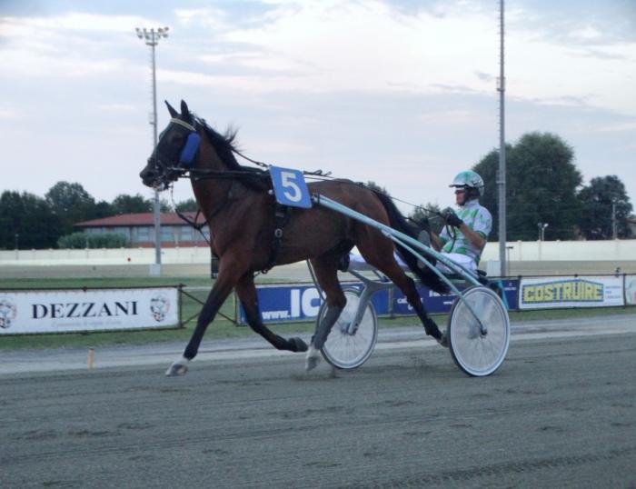 Mercoledì a Vinovo con una TQQ all'insegna della qualità Mercoledì a Vinovo con una TQQ all'insegna della qualità