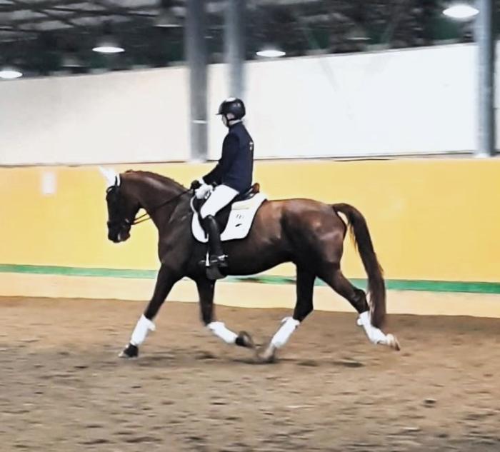 Dressage: la Sardegna si fa onore alla Coppa delle Regioni di Cervia Dressage: la Sardegna si fa onore alla Coppa delle Regioni di Cervia