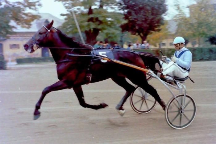 Torino amarcord, luned&igrave; a Vinovo un convegno che ricorda Giuseppe Guzzinati
