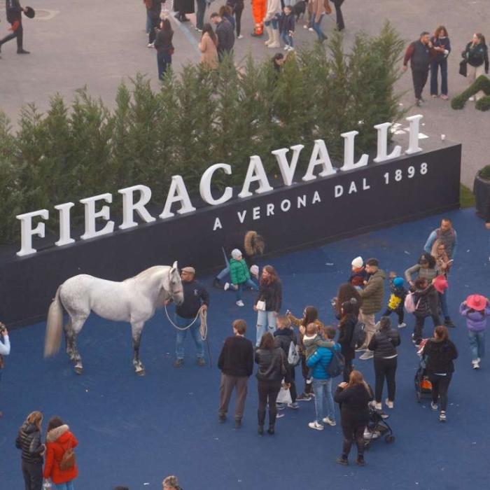 Fieracavalli, sfide per la sostenibilità del comparto ippico Fieracavalli, sfide per la sostenibilità del comparto ippico