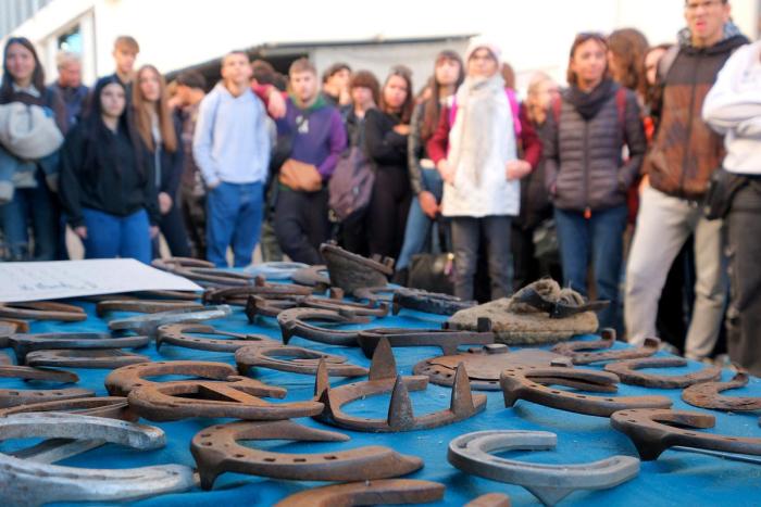 FIERACAVALLI: Dove il cavallo insegna un mestiere: Debutta l'Horse Future Hub