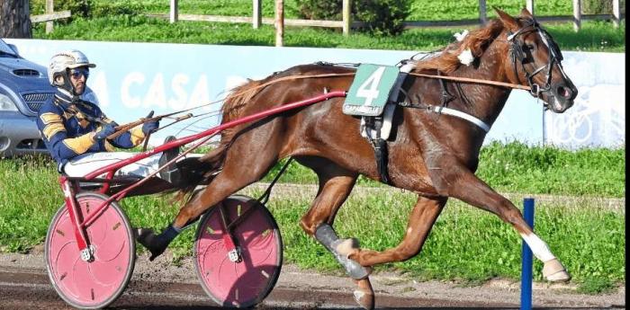 Sabato alla Favorita una bella edizione del Gran Premio Mediterraneo Sabato alla Favorita una bella edizione del Gran Premio Mediterraneo