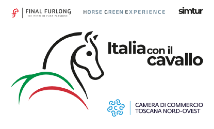 Horse Travel and Hospitality expert Horse Travel and Hospitality expert