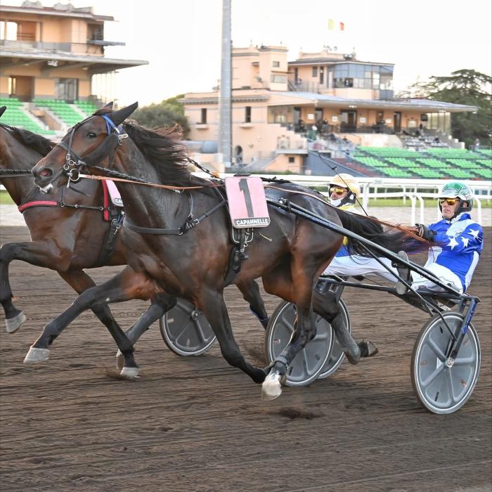 Presentazione Gran Premio Anact Stakes Plus 2025 Presentazione Gran Premio Anact Stakes Plus 2025