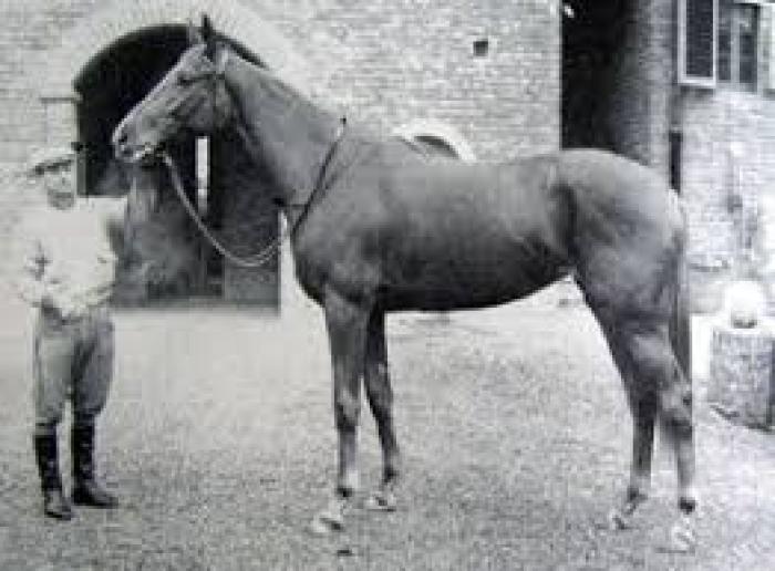 MARGUERITE VERNAUT : 60 ANNI ORSONO REGINA DELLE CHAMPION MARGUERITE VERNAUT : 60 ANNI ORSONO REGINA DELLE CHAMPION