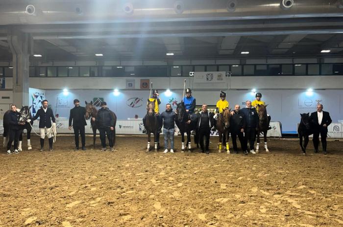 Fieracavalli, Simpatia e interesse per il Cavallo del Sarcidano Fieracavalli, Simpatia e interesse per il Cavallo del Sarcidano