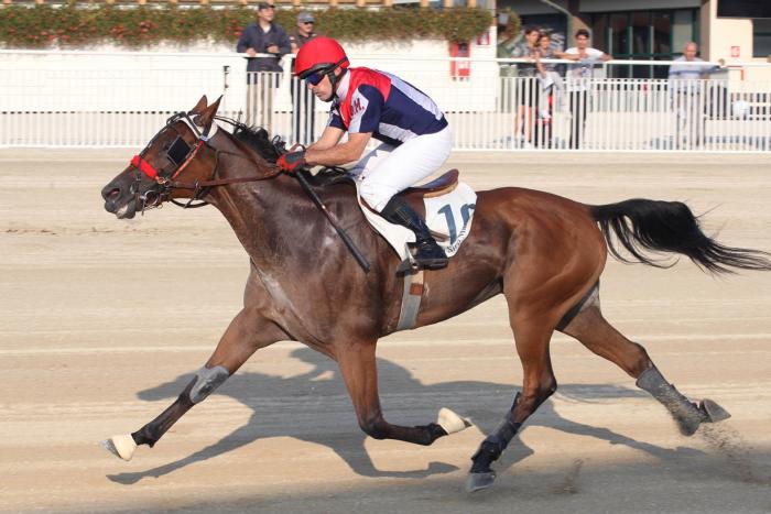 Venerdì, all'ippodromo di San Siro torna il trotto montato Venerdì, all'ippodromo di San Siro torna il trotto montato
