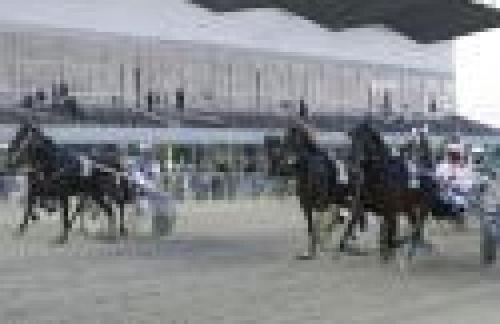 G.P. Allevatori, accoppiata toscana nel Filly G.P. Allevatori, accoppiata toscana nel Filly